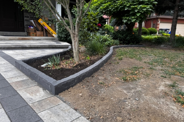 Curved interlocking border routing around tree roots with a defined garden bed clearance zone in a GTA front yard
